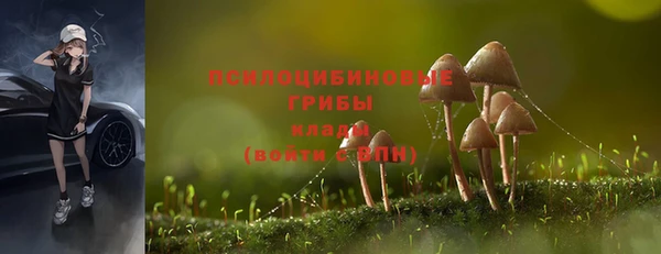 а пвп мука Липки