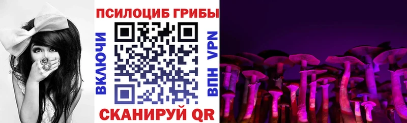Галлюциногенные грибы мухоморы  купить   Гаврилов Посад 